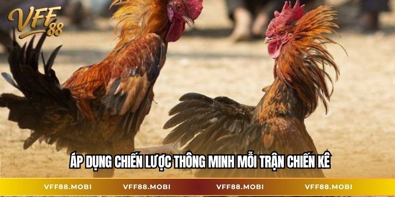 Áp dụng chiến lược thông minh mỗi trận chiến kê