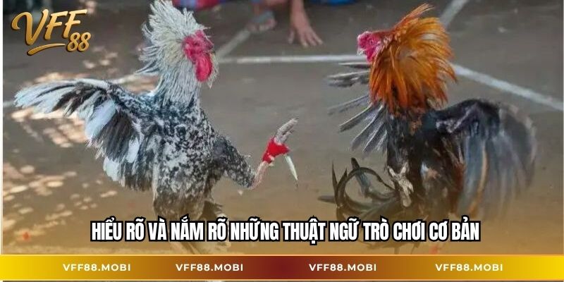 Hiểu rõ và nắm rõ những thuật ngữ trò chơi cơ bản