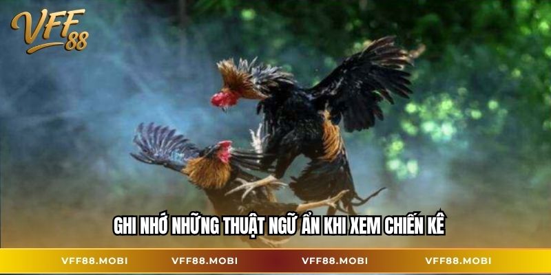 Ghi nhớ những thuật ngữ ẩn khi xem chiến kê