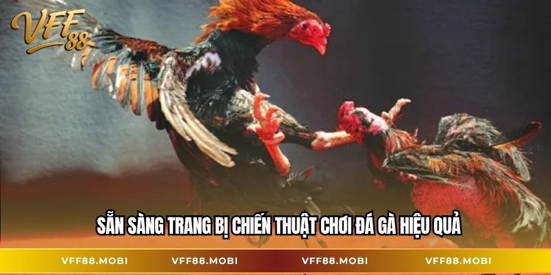 Sẵn sàng trang bị chiến thuật chơi đá gà hiệu quả